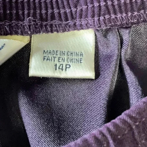 Allison Dailey - Picture 4 of 4